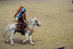 Quadrille - 00387